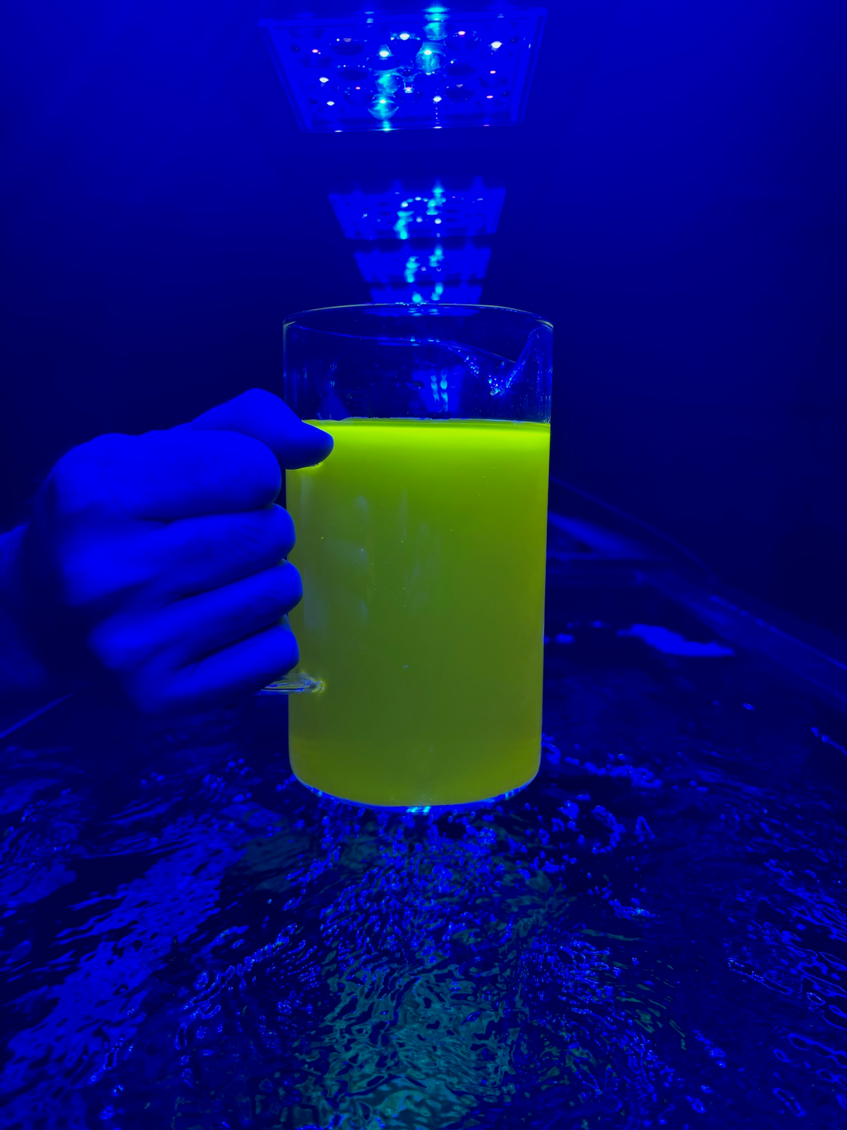 Aminos Plus, Essential Amino Acids and Vitamins for Coral Growth & Coloration