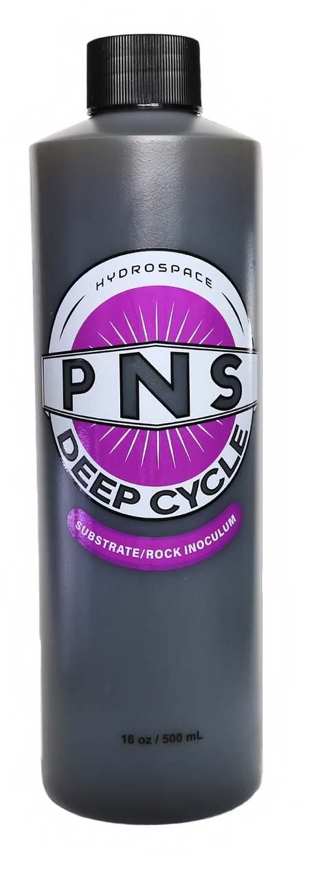 Tank Cycling & Bacteria